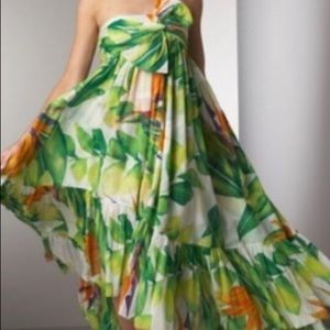 ❗️🎉 DVF Runway Gown  🎉❗️